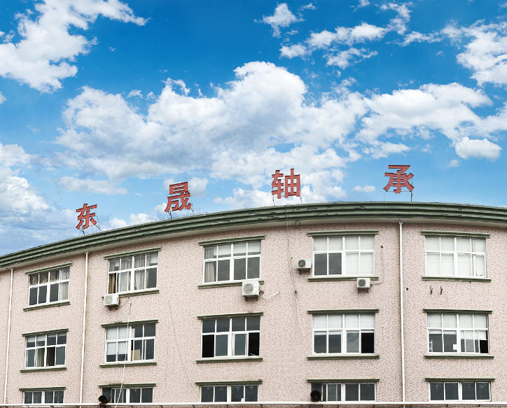 Ningbo Zhenhai Dongsheng Bearing Factory